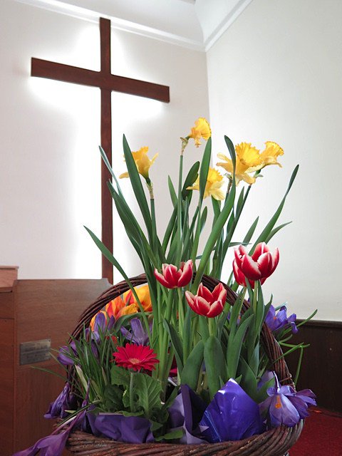 BUCC Announcements May 14, 2017 bruceuccooperative.ca/bucc-announcem…