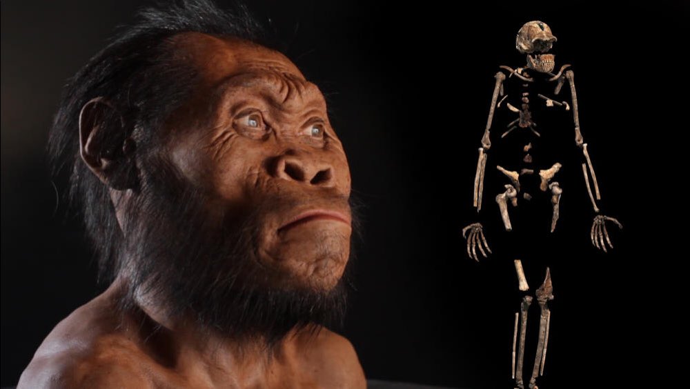 BillDuffany's tweet photo. Don't feel so bad if #HomoNaledi rejected your promposal. NO ONE has been able to date the fossils. @HomoNaledi @OtziBot https://t.co/zMefoFrrb9