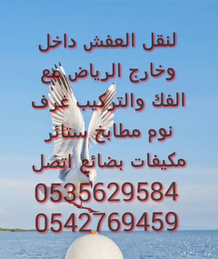 mostfe16's tweet image. 