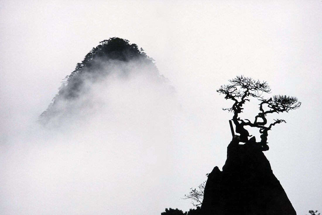 helios972's tweet photo. Jardin de Chine , Marc Riboud #photo https://t.co/eKukqVdKKZ via @Brindille_