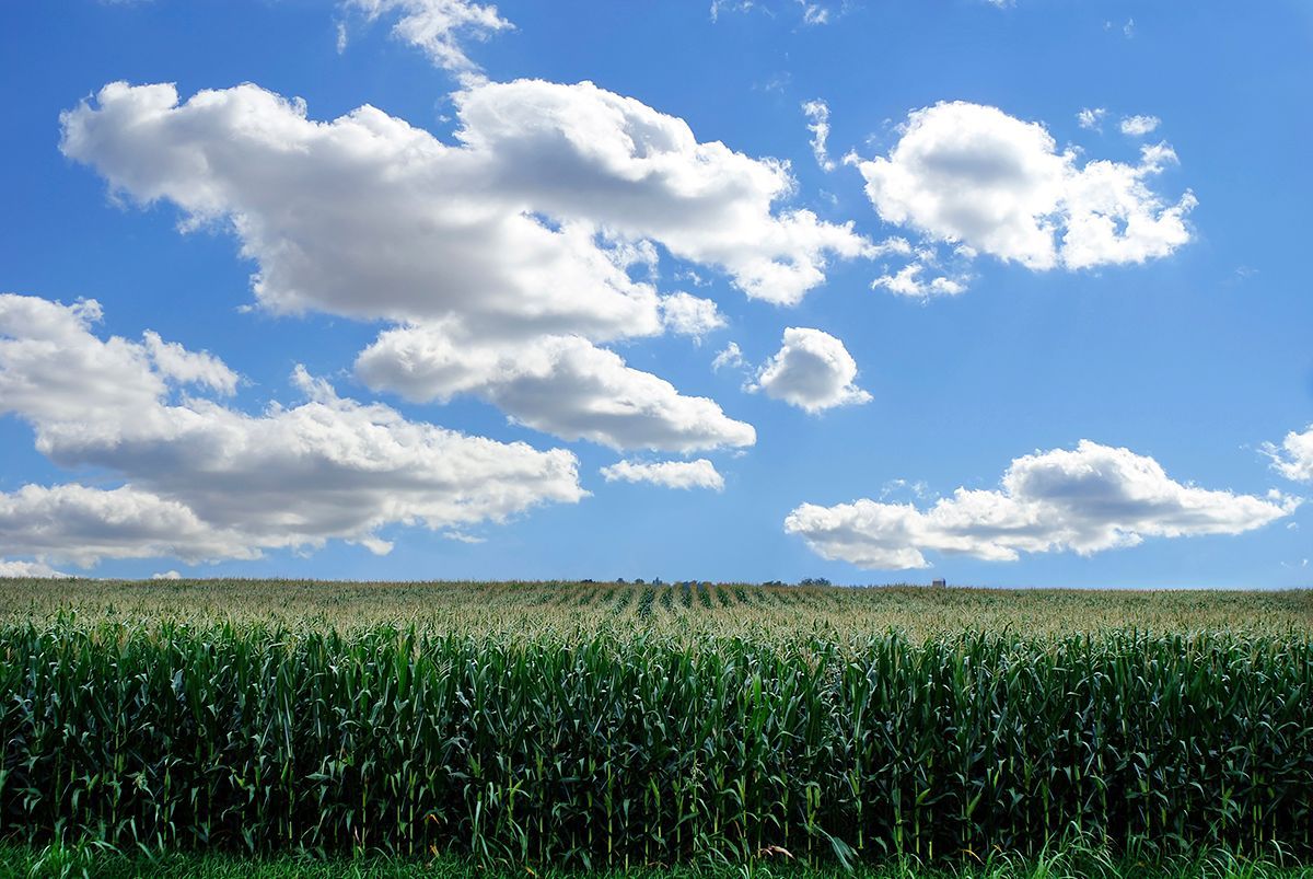 Anson Insurance (AnsonInsurance) Twitter