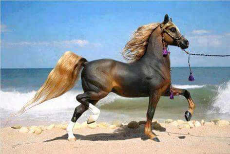 tom fares karam (@karam98017894) on Twitter photo 