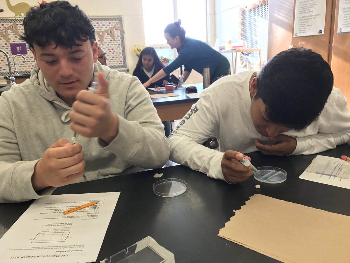 My kids are doing labs that I didn't experience until I sophomore year of college! Thanks <a href="/CathrineNicki/">Cathrine Prenot</a>! #gelelectropheresis