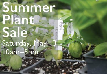 RexiusLandscape's tweet photo. Make sure to hit the @foodforlc Plant Sale on Saturday! There'll be Food, Plants, Music! https://t.co/tBqCseDkH1 #foodforlanecounty #Eugene https://t.co/Z4tMPkgy7h