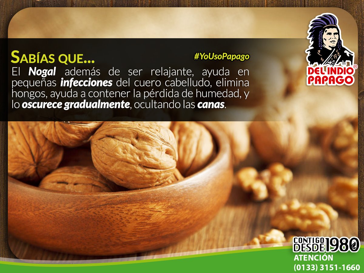 papagooficial's tweet photo. #SabíasQue
El #Nogal además de ser relajante, ayuda contra la pérdida de humedad del cabello y lo tiñe de forma gradual ocultando las #canas https://t.co/DQb2d7RswW