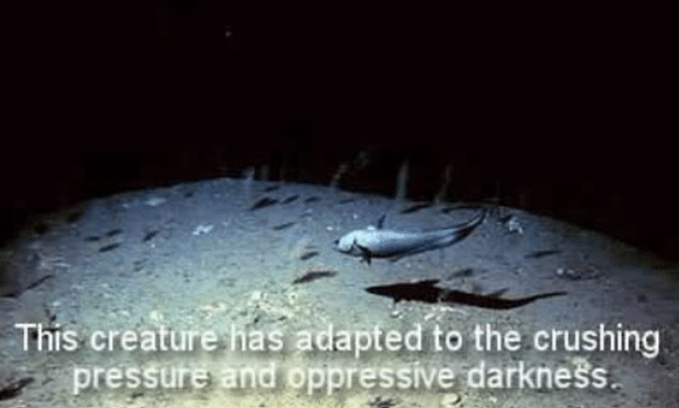 StephenHerreid's tweet image. #HowToSurviveTwitter