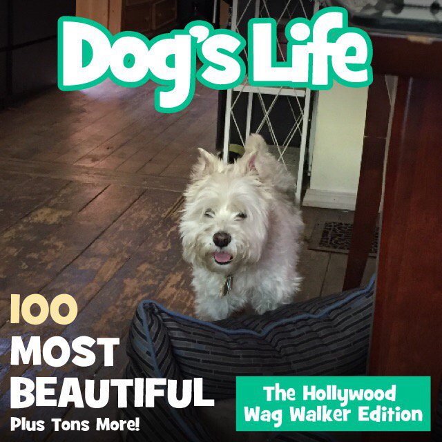 Just got my dog walked by Wag! Thanks so much <a href="/WagWalking/">Wag! - The #1 App for Pet Parents</a>! app.adjust.com/3ika6y