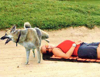 AristotleDreher's tweet image. White House Press Secretary Weather Report:

&quot;It&apos;s raining.&quot;

#SpicerFacts