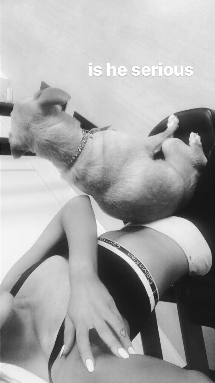 Ariana grande hotsell calvin klein