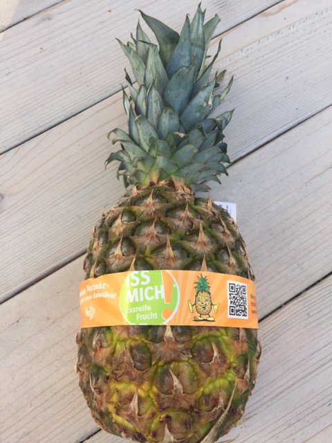 FelinsFoodie's tweet photo. #ThursdayThoughts! Replace a #tag or #adhesives with an #ultrasonic #labelband. #HappyBandling. #FelinsUSA. #pineapple #Foodie #Labeled https://t.co/dQVVLUhSk9