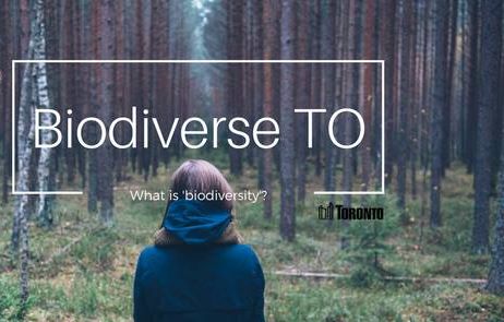 TorontoPFR's tweet image. Tomorrow&apos;s the day of @CityPlanTO Chief Planner Roundtable on Biodiversity. Follow along and send your questions by using #CProundtable
