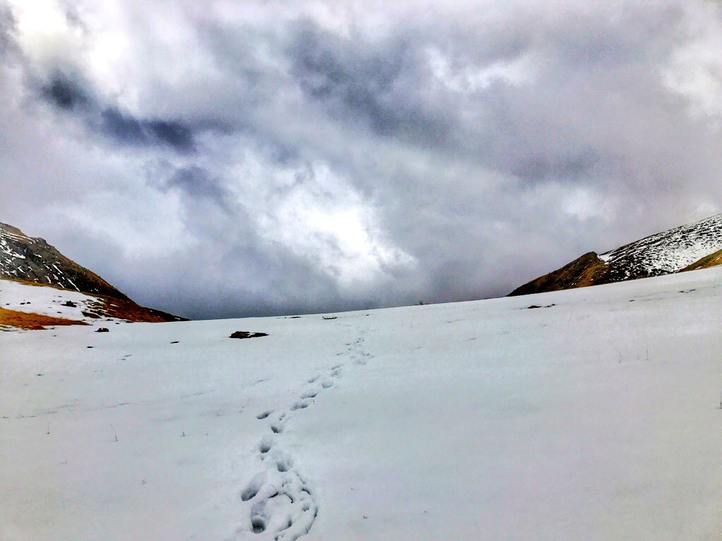FrignaniElena's tweet photo. Importante #crocevia di #sentieri e punto di comunicazione tra la val dei #Mocheni e la val #Portela
#TRENTINO https://t.co/drb604OSwK