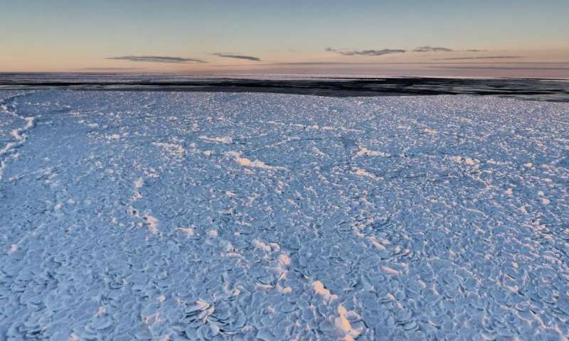 Ever seen Dragon Skin sea ice before? Photo from Institute for Marine and Antarctic Studies PIPERS expedition. gizmodo.com/antarticas-dra…