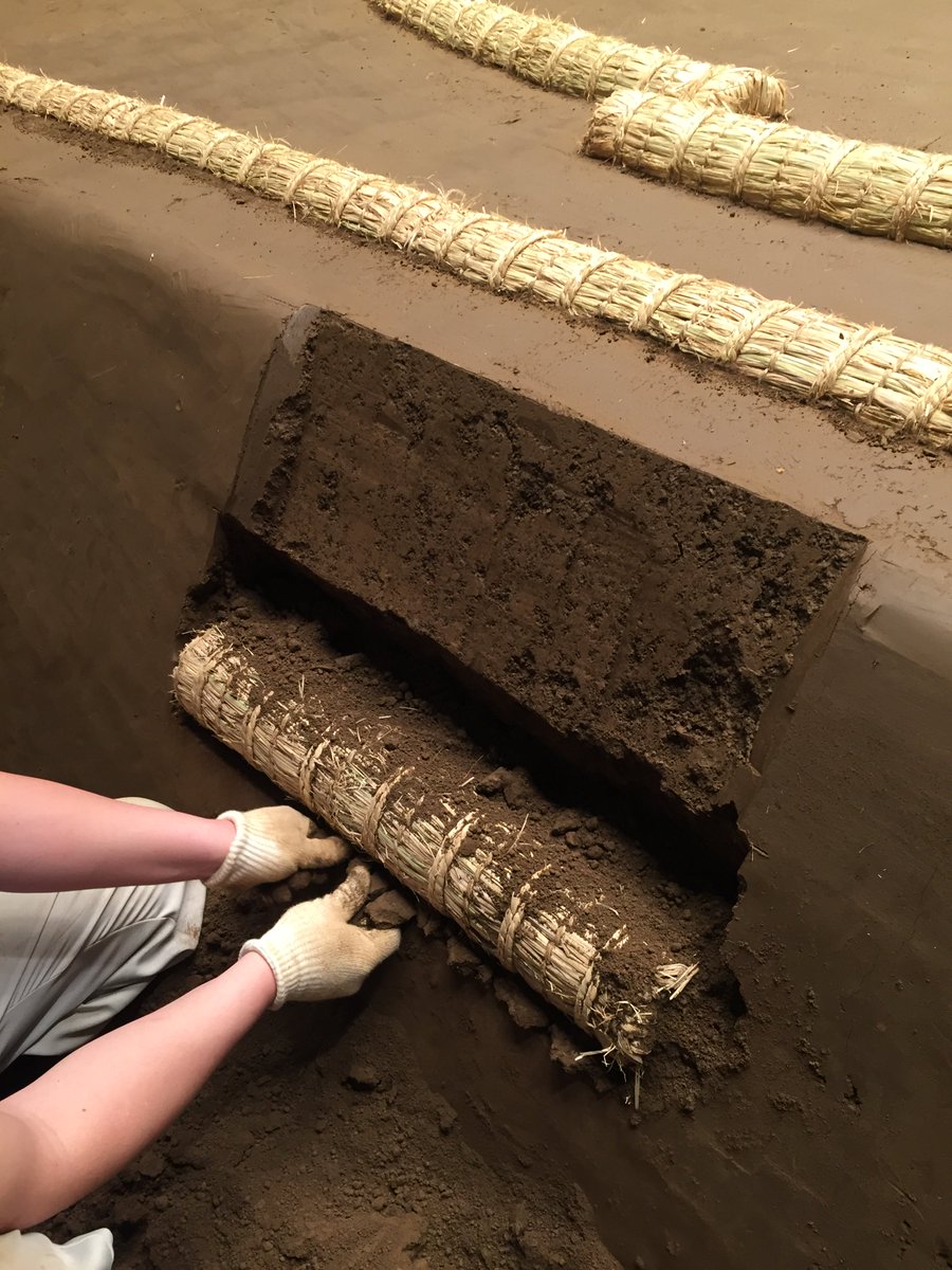 土俵築＞最後に踏み俵を入れて、表面をなめらかに整えて完成です。#sumo