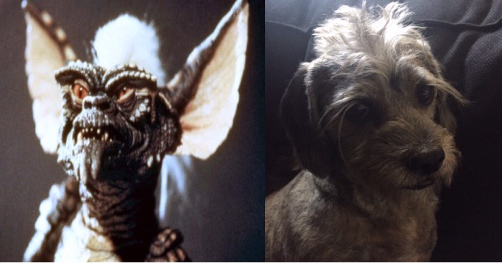 It looks like MTP fed me after midnight...