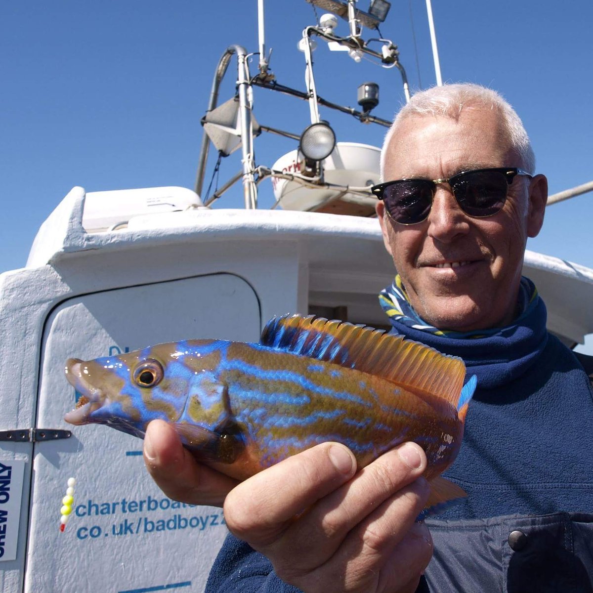 badboyzcharters's tweet photo. Who's the prettiest of them all, Male cuckoo wrasse https://t.co/Nmtv6zuUsG