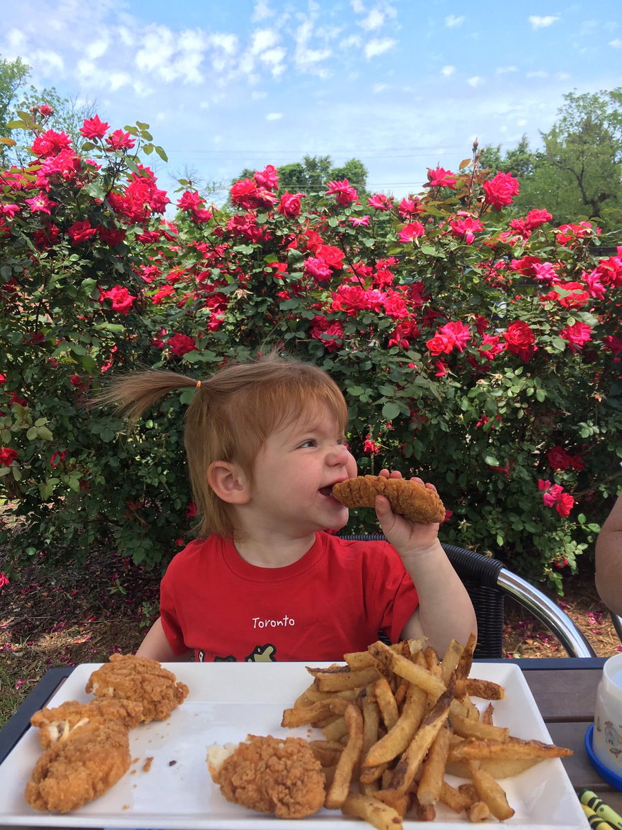 nibblesqueakDC's tweet photo. Is #NationalEatWhatYouWantDay a toddler holiday? Because mine celebrates it all day, every day. #ToddlerLife https://t.co/Yq7Ojm0N7s