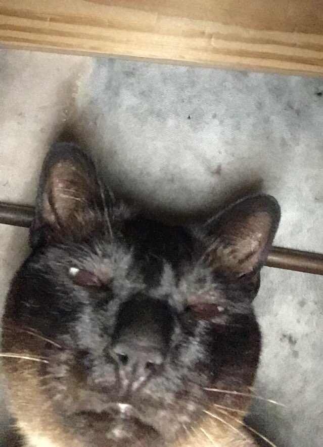 When u get a text in the middle of the night and the brightness is all the way up