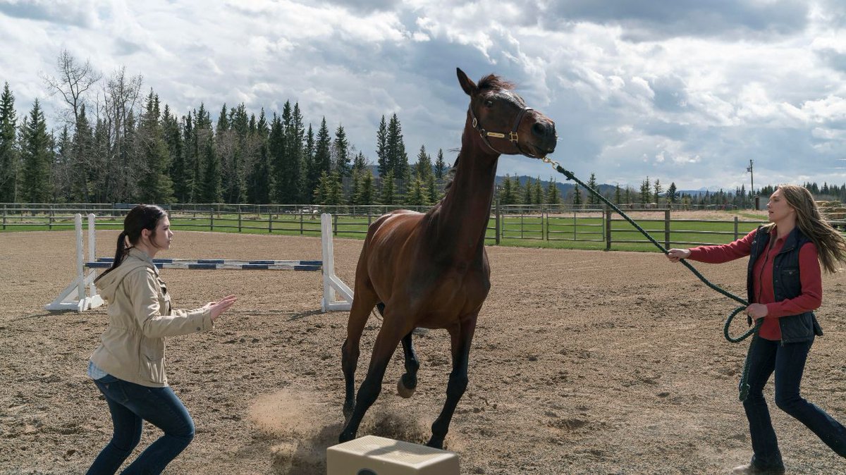 Animal Fund tweet media