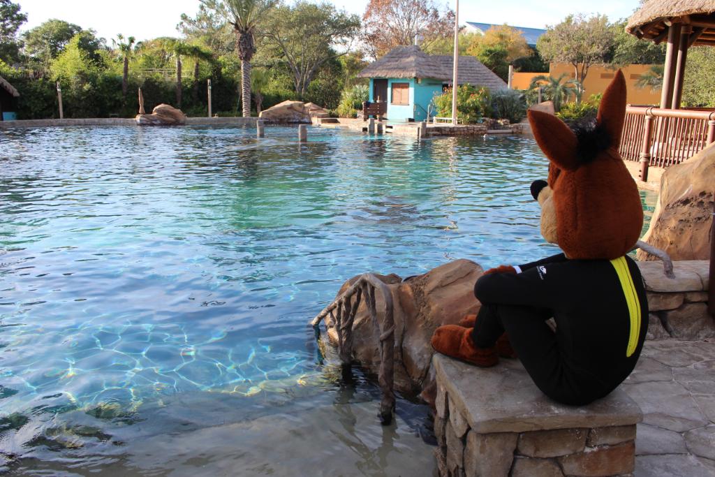 SeaWorldTexas's tweet photo. Relax... We got this! 🏀 #GoSpursGo https://t.co/rlmGzj4I04