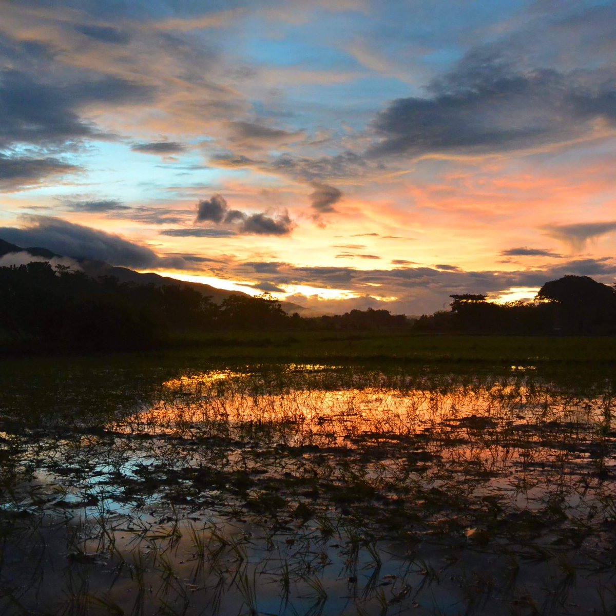 MartinClimber's tweet photo. Time to go back to Pangasinan! https://t.co/U5yBlrsVsZ