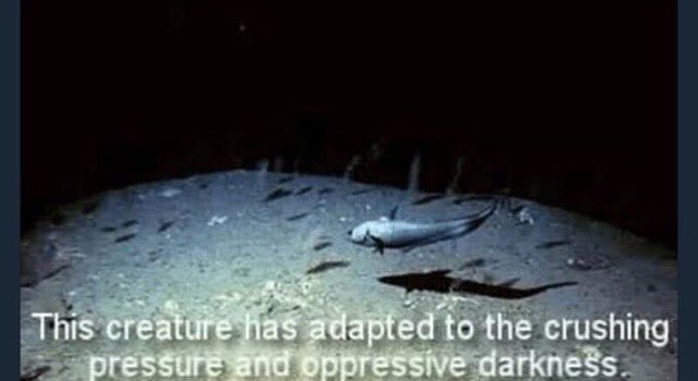 you forgot me in your dreams (@deathsremorse) on Twitter photo 