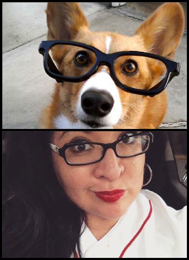 kickitupanacho's tweet photo. .@wittwitbarista
Scandal!! You can't be objective when it comes to corgis #Corgigate @ThursdayThrow @upsidedowntrash https://t.co/2nMi3rDioD