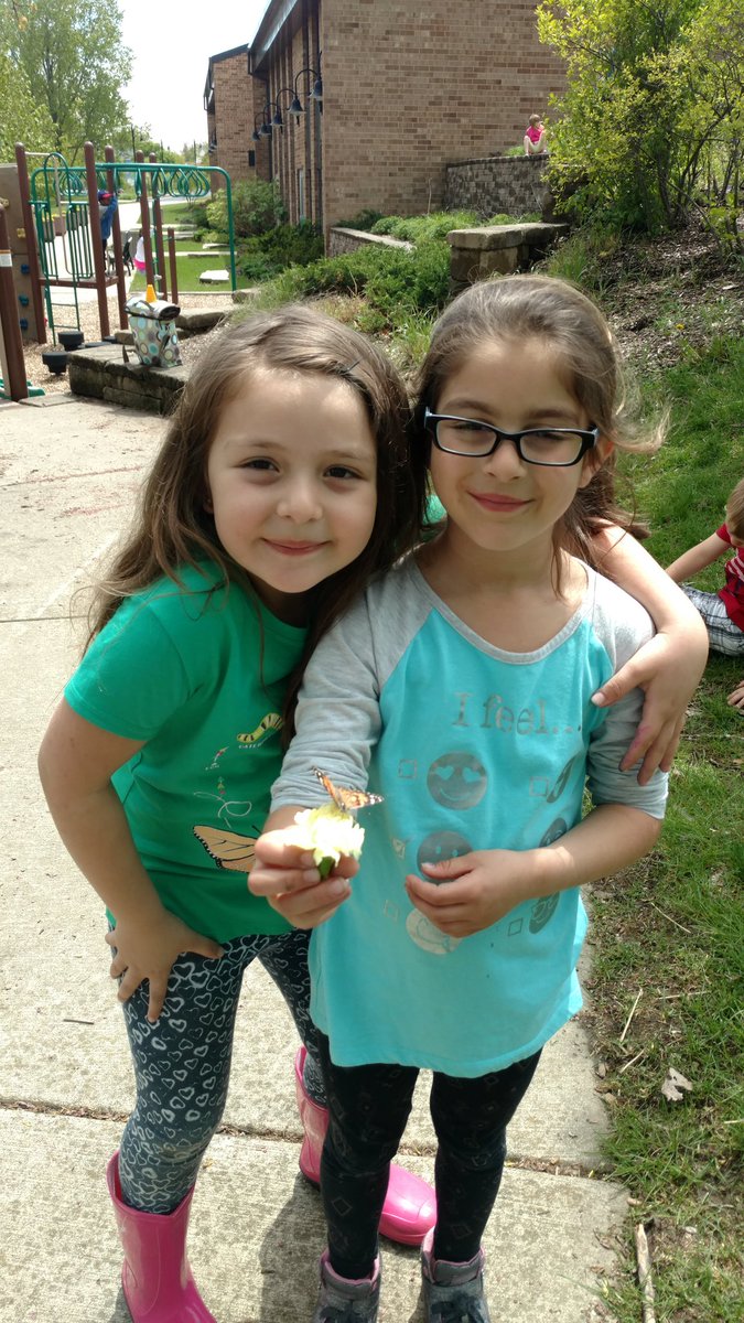 cduffy423's tweet image. First Grade Butterfly Release @Woodridge68  @Meadowview68  #meadlearns #WeAreD68 #beautifulday