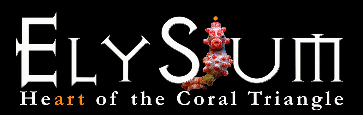 ElysiumEpic's tweet photo. Elysium Heart of the Coral Triangle set for 29 Sep to 13 Oct 2018. Application for expedition members opening soon! https://t.co/ctrwgB9IHE
