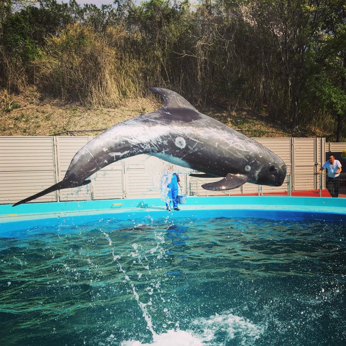 ワールド牧場 Worldranch Twilog