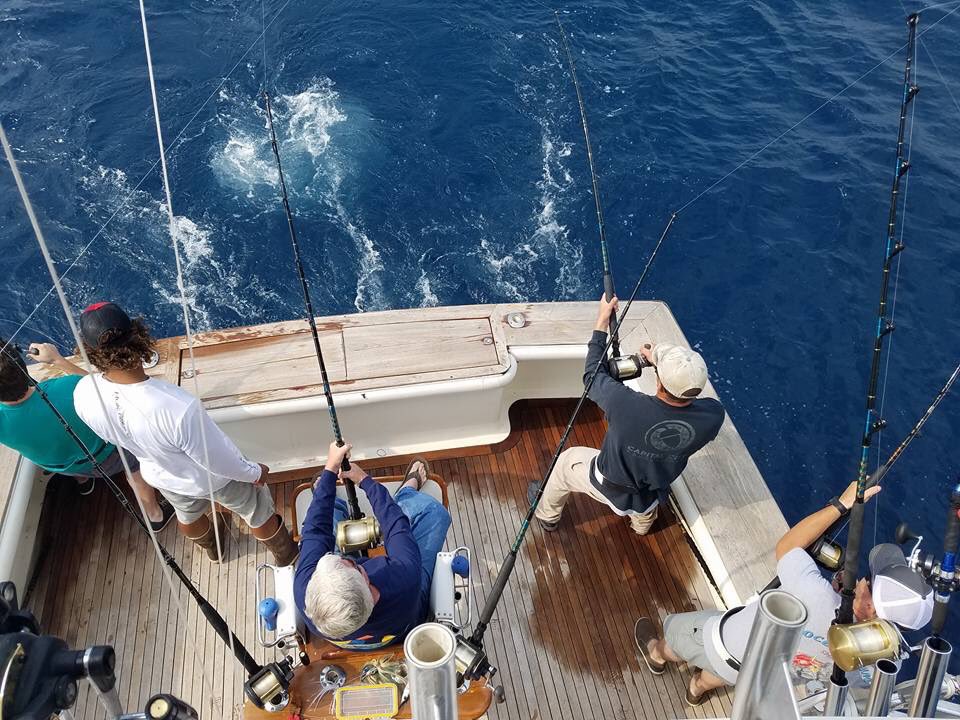 EndorFin123's tweet photo. The Yellowfin action was HOT today! Call and book your day!
252-305-0722 https://t.co/YAL6gmEUHn