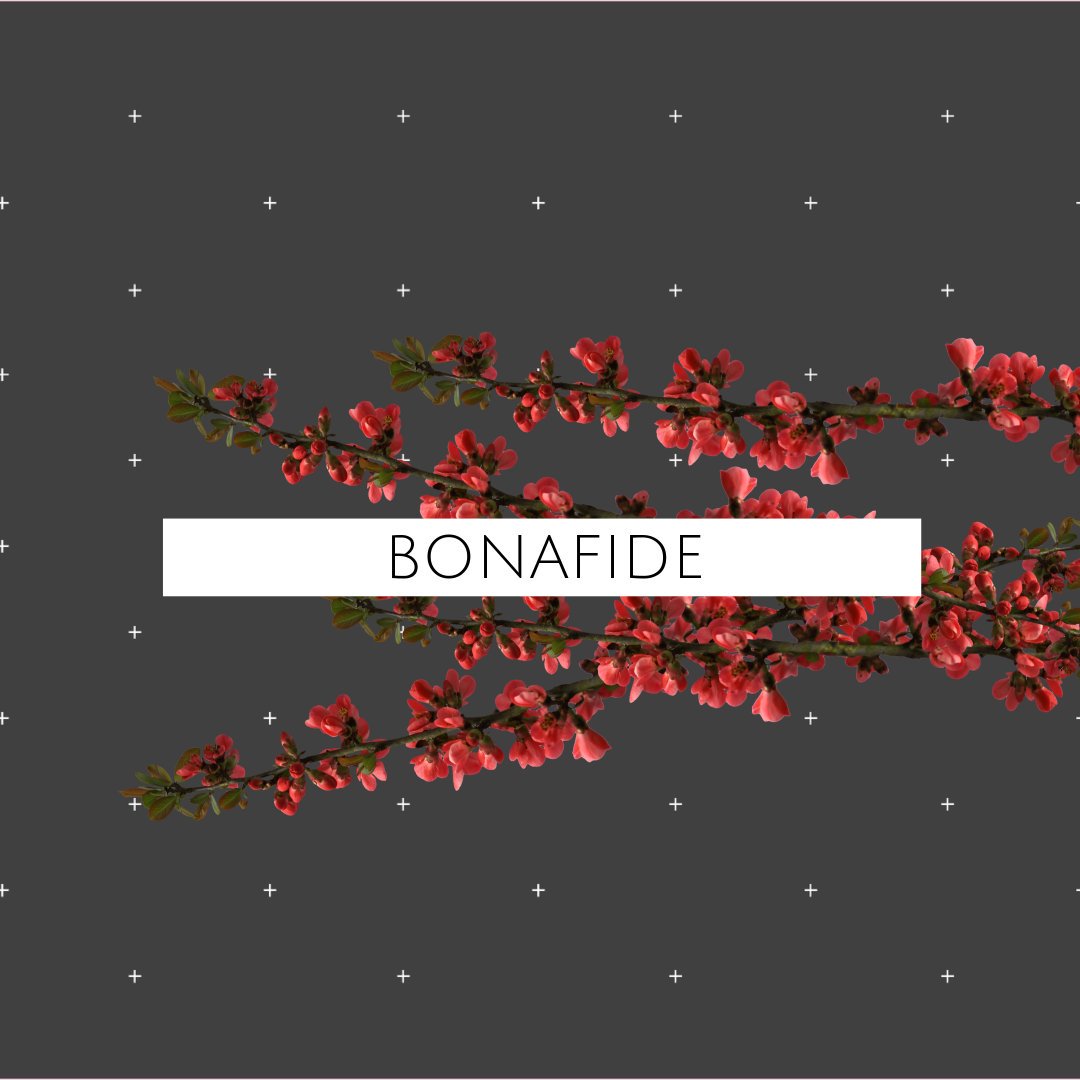 BONAxFIDE's tweet photo. BONAFIDE

(n.) informal Irish a public house licensed to remain open after normal hours to serve bona fide travellers. https://t.co/uuBBfJw2A4