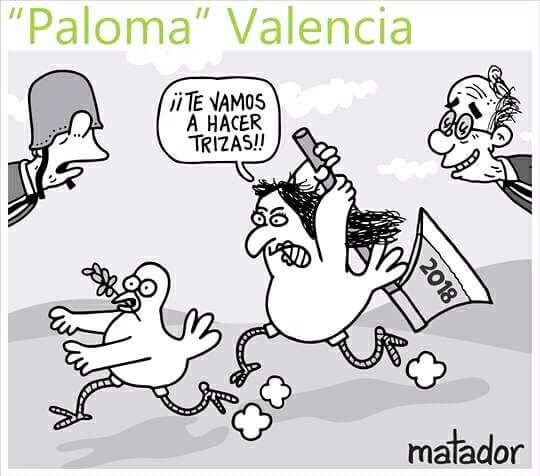 TadicJim's tweet image. Inclinación política= @matadoreltiempo