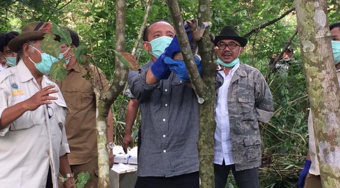 Berkah Waisak, 15 Kukang Jawa Dapat 'Remisi' dan Kembali ke Alam dlvr.it/P71hvq