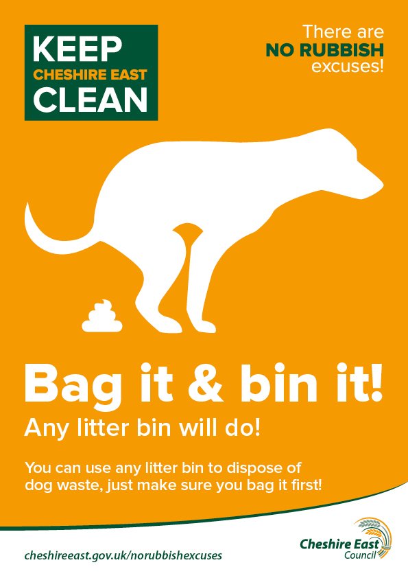 can you dipose of dog poop in waste container