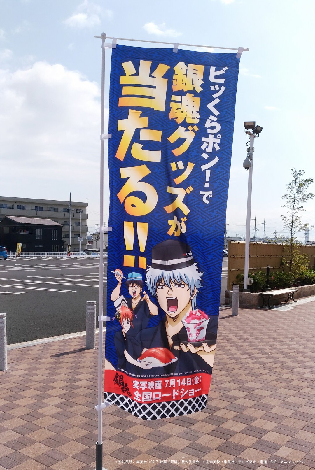 英愛 えな 銀魂 Utyqjugrguovfkw Twitter