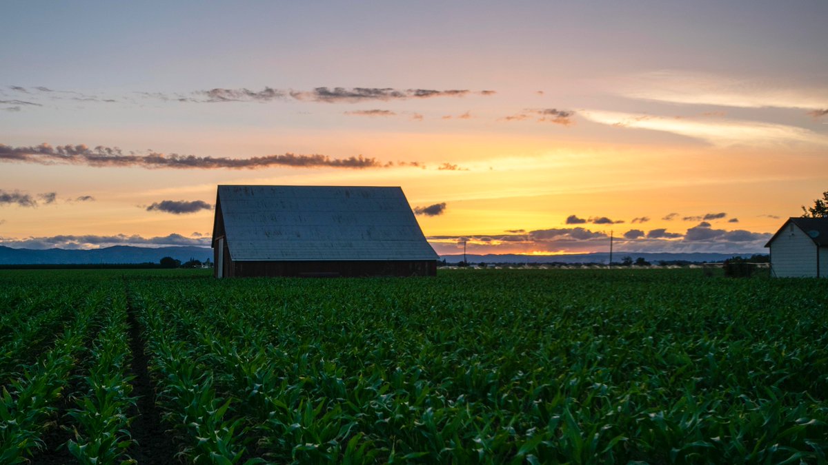 Northern California Water (@norcawater) on Twitter photo Sunset in Yolo County - another snapshot from the amazing #SacValley! Steve Beckley photo <a href="/srbeckley/">Steven Beckley</a> <a href="/woodlandnews/">The Daily Democrat</a> @kcraFinan <a href="/EdJoyce/">Ed Joyce</a> Sunset in Yolo County - another snapshot from the amazing #SacValley! Steve Beckley photo <a href="/srbeckley/">Steven Beckley</a> <a href="/woodlandnews/">The Daily Democrat</a> @kcraFinan <a href="/EdJoyce/">Ed Joyce</a>