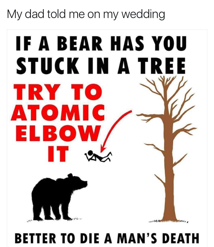 Chubbies's tweet photo. Best. advice. ever.

r/ Witherpixel #chubbies https://t.co/LpChI60Wqk
