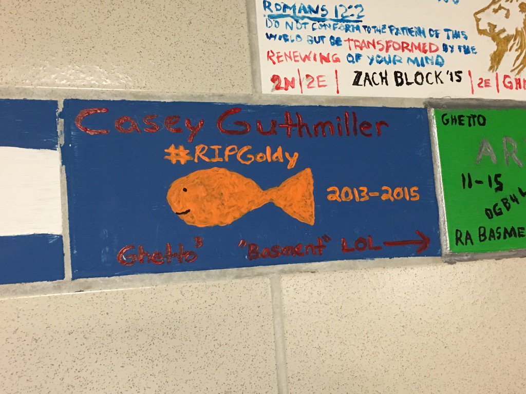 cdawg191's tweet photo. She lives forever through the bricks of Coly. At least until Coly collapses, which could be at any moment. #RIPGoldy https://t.co/aOG0EJ8YfE