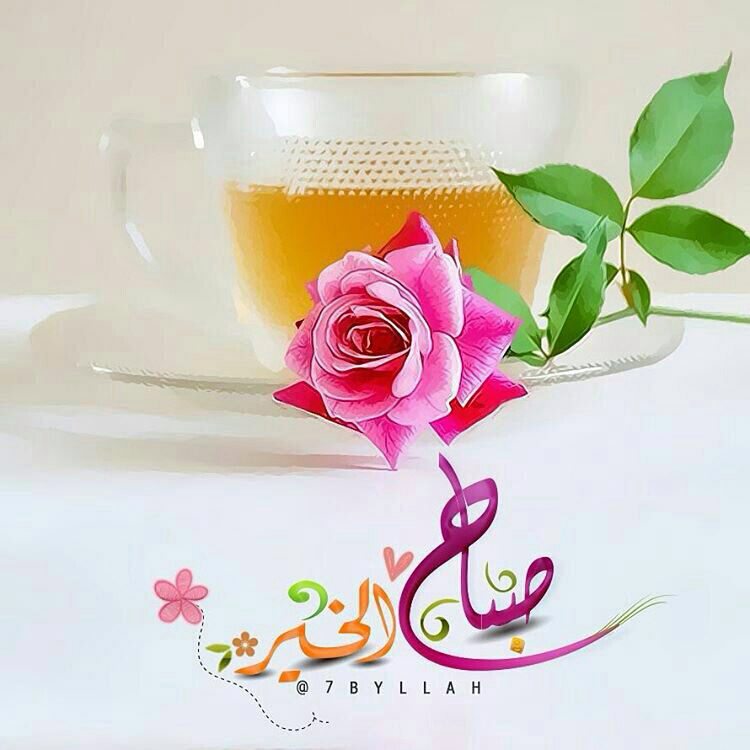 اللهم بك اصبحنا وبك أمسينا واليك النشور