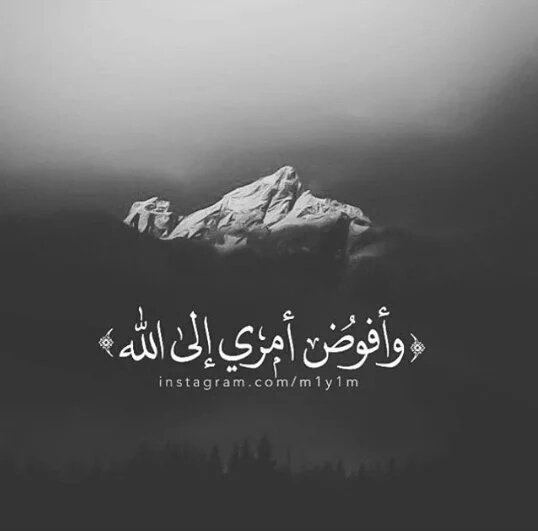 في قلبي حديث صامت
يبتلع مراره الغياب
_من يحبك فقط هو من
يستطيع ان يقرائك ..ربما !!

#حبر_الروح
#حبايبنا