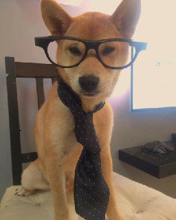 Tomlypets's tweet photo. #dogs #pets #Tomlydogs #IfYouSeeMeInRealLife #dogslife #dogsofinstagram
ππΆ π
ββοΈ https://t.co/woVHq3Ai4p