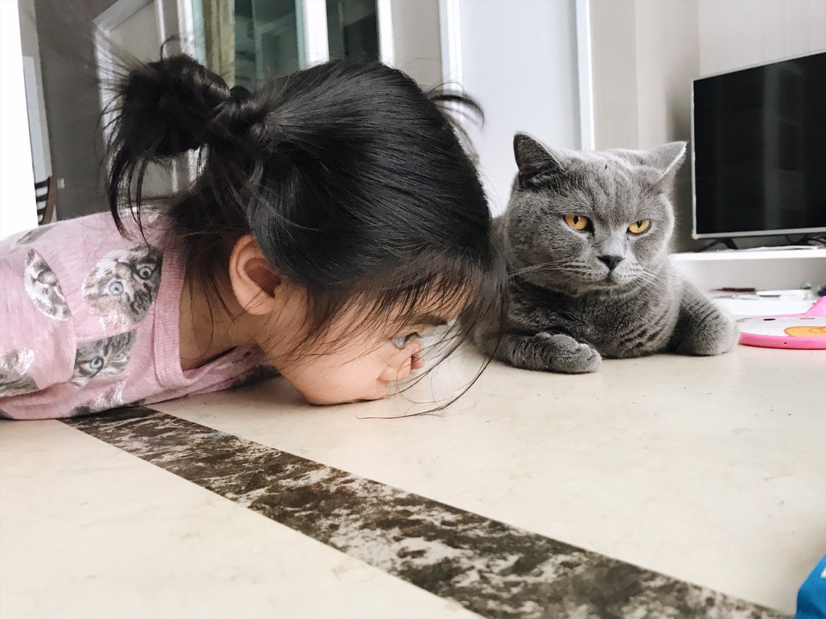 FHERO4REAL's tweet photo. ฝึกซ้อมเป็นแมว

#ชูใจ https://t.co/1I6jnICaSm