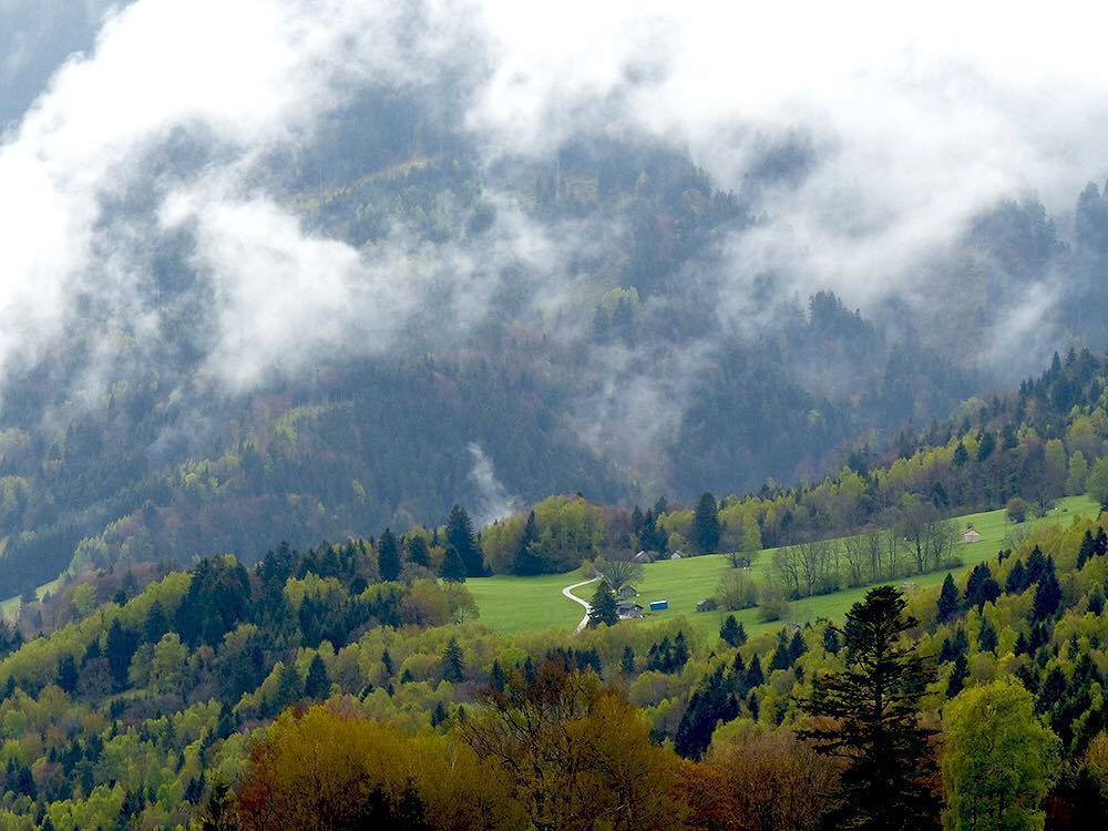 yvanneteo's tweet photo. One of the #views from #gurtis #vorarlberg #austria #alps #mountains https://t.co/sz41JWjV4d https://t.co/aoVssBflC7