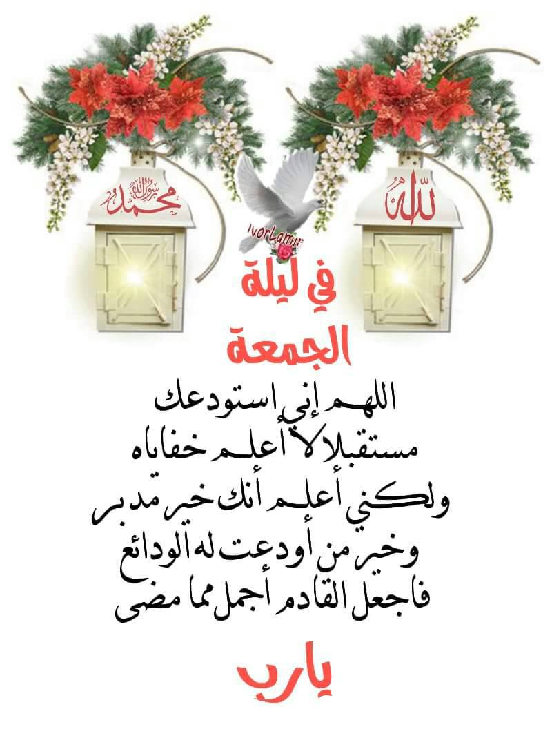 فواد العطار (@shekhfouad) on Twitter photo 