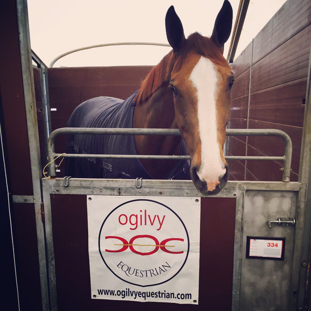 BenMaher1's tweet photo. Good morning Diva from Windsor Horse Show @OgilvyEq https://t.co/xbAKEo9hnL