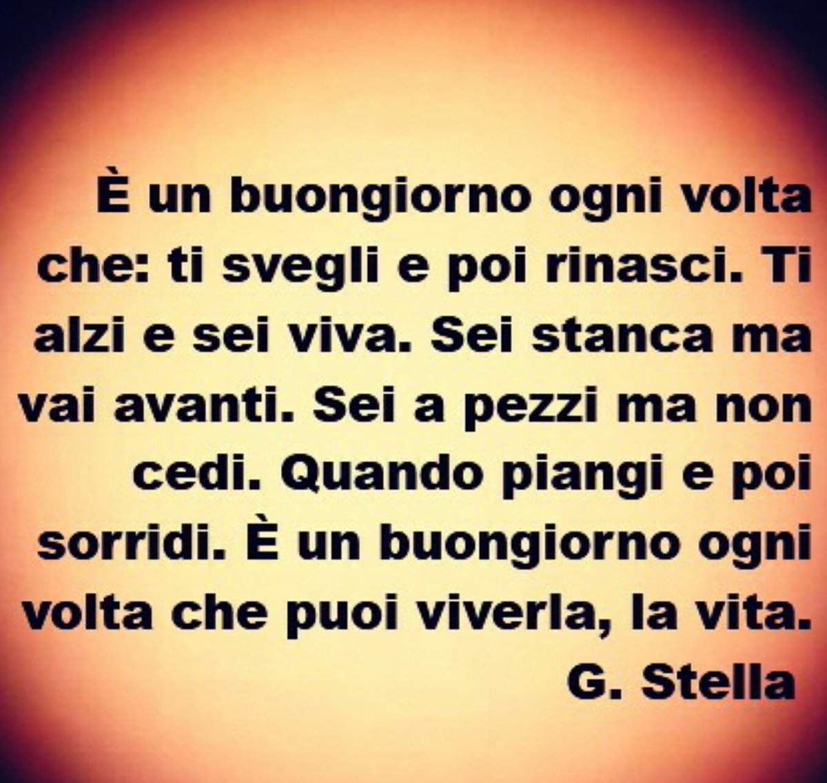 romypassaretti tweet picture