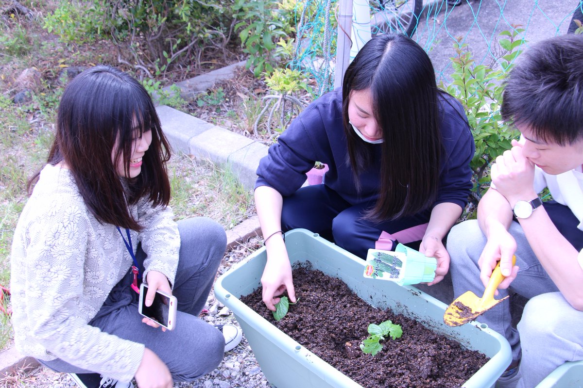 『２年　作業学実習』
　晴天に恵まれ、本日は園芸作業を行いました。熱い中、お疲れ様でした。おいしい野菜ができるといいですね！