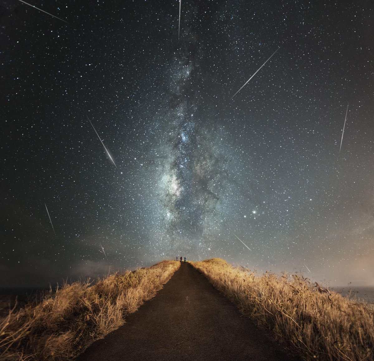 redditSpaceView's tweet photo. Meteor Shower in Hawaii  #Space #Universe https://t.co/2KxVHGyO3l