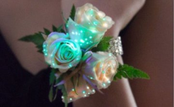 珍しい花ランキングtop30 風変わりな花や驚くほど奇妙な花を紹介 2ページ目 Botanica